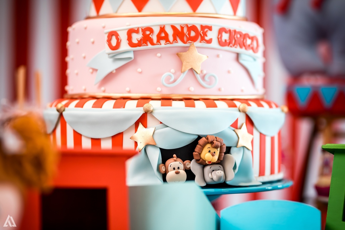 Aniversário Infantil Circo Alex Jardim Fotografia Fotógrafo Resende Itatiaia Penedo Porto Real Quatis Barra Mansa Volta Redonda Terras Alphaville Resende