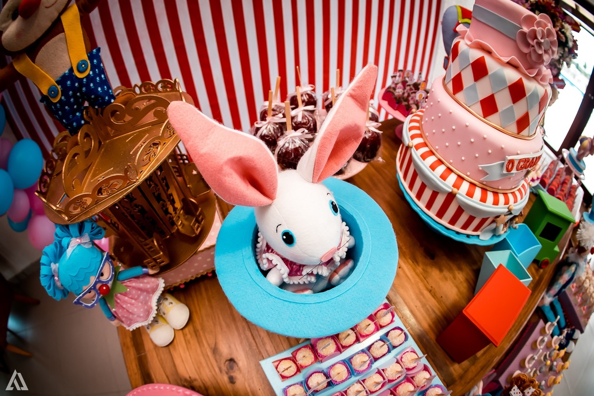 Aniversário Infantil Circo Alex Jardim Fotografia Fotógrafo Resende Itatiaia Penedo Porto Real Quatis Barra Mansa Volta Redonda Terras Alphaville Resende