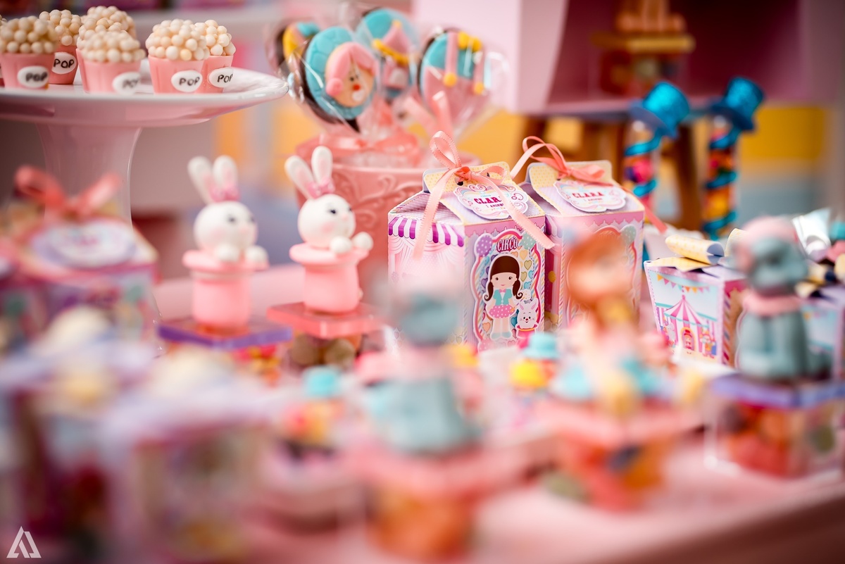 Aniversário Infantil Circo Alex Jardim Fotografia Fotógrafo Resende Itatiaia Penedo Porto Real Quatis Barra Mansa Volta Redonda Liana`s Festas