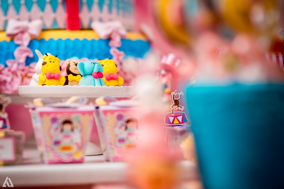 Aniversário Infantil Circo Alex Jardim Fotografia Fotógrafo Resende Itatiaia Penedo Porto Real Quatis Barra Mansa Volta Redonda Liana`s Festas