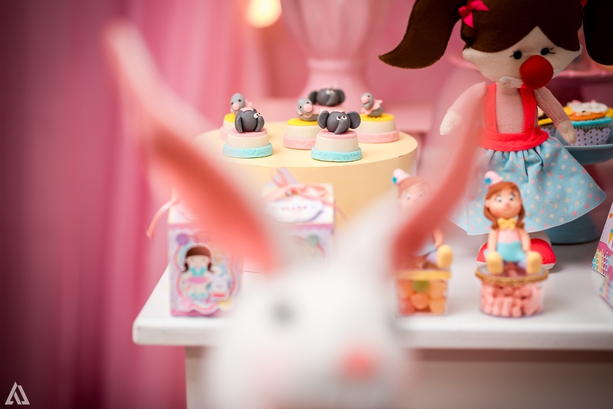 Aniversário Infantil Circo Alex Jardim Fotografia Fotógrafo Resende Itatiaia Penedo Porto Real Quatis Barra Mansa Volta Redonda Liana`s Festas