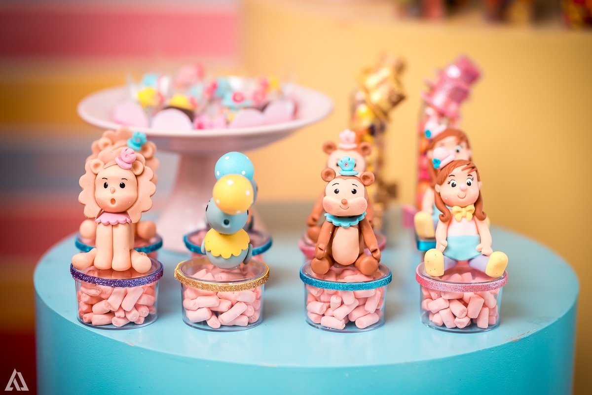 Aniversário Infantil Circo Alex Jardim Fotografia Fotógrafo Resende Itatiaia Penedo Porto Real Quatis Barra Mansa Volta Redonda Liana`s Festas