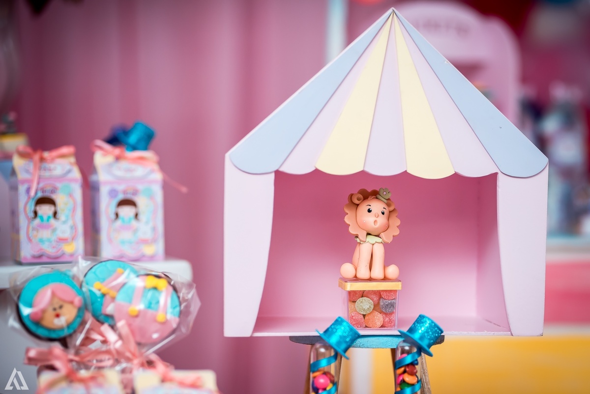 Aniversário Infantil Circo Alex Jardim Fotografia Fotógrafo Resende Itatiaia Penedo Porto Real Quatis Barra Mansa Volta Redonda Liana`s Festas