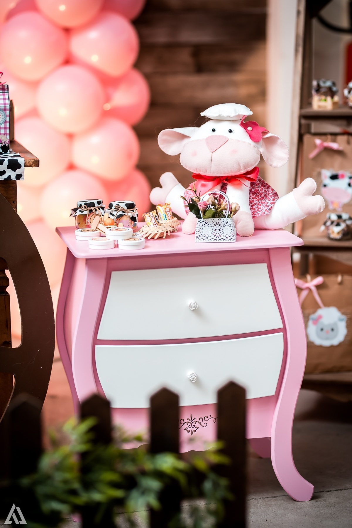 Aniversário Infantil Fazendinha Alex Jardim Fotografia Fotógrafo Resende Itatiaia Penedo Porto Real Quatis Barra Mansa Volta Redonda 