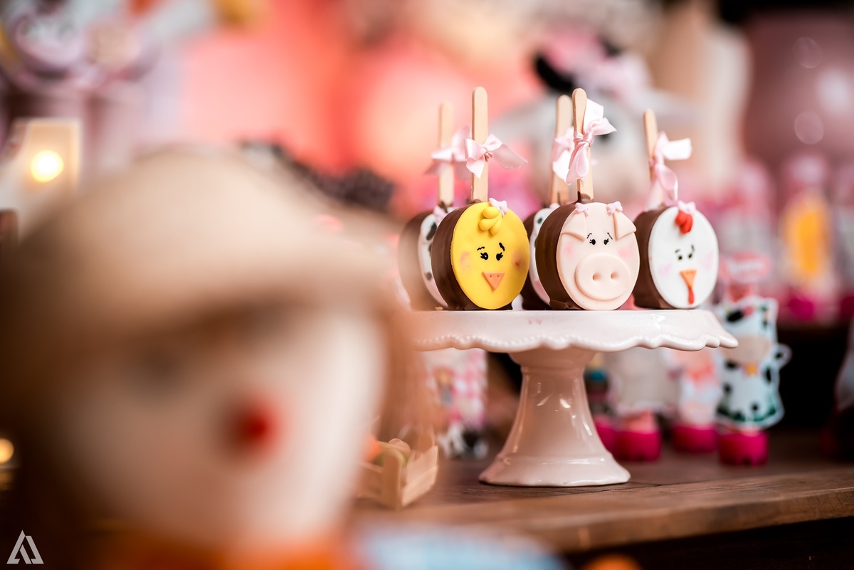 Aniversário Infantil Fazendinha Alex Jardim Fotografia Fotógrafo Resende Itatiaia Penedo Porto Real Quatis Barra Mansa Volta Redonda 