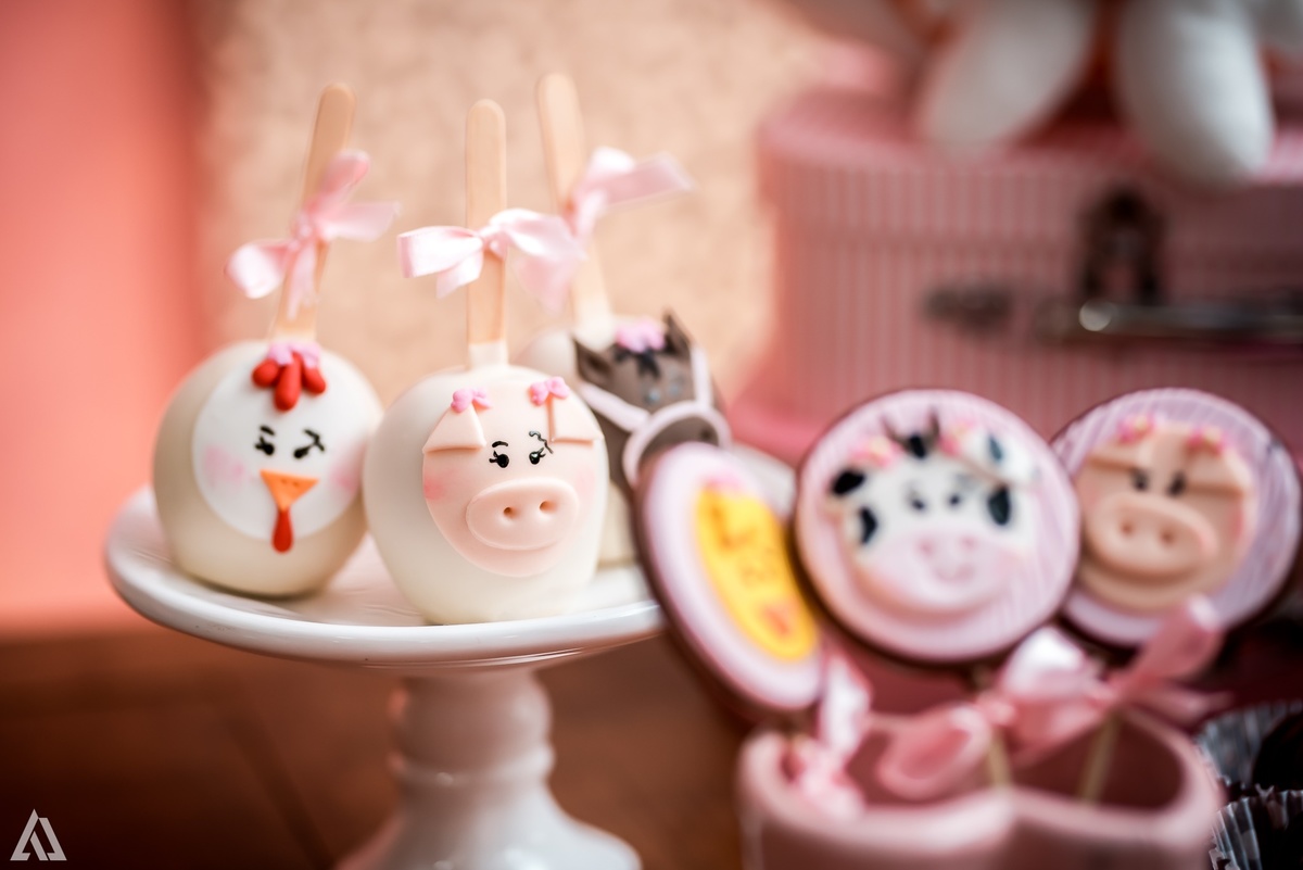 Aniversário Infantil Fazendinha Alex Jardim Fotografia Fotógrafo Resende Itatiaia Penedo Porto Real Quatis Barra Mansa Volta Redonda 