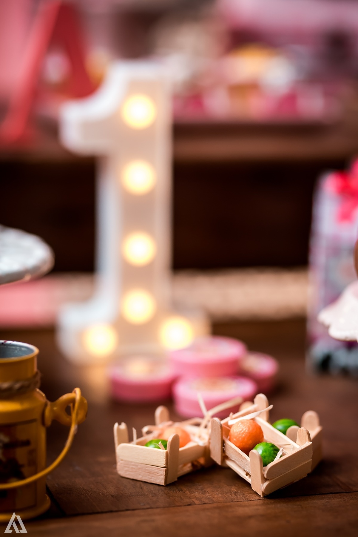 Aniversário Infantil Fazendinha Alex Jardim Fotografia Fotógrafo Resende Itatiaia Penedo Porto Real Quatis Barra Mansa Volta Redonda 