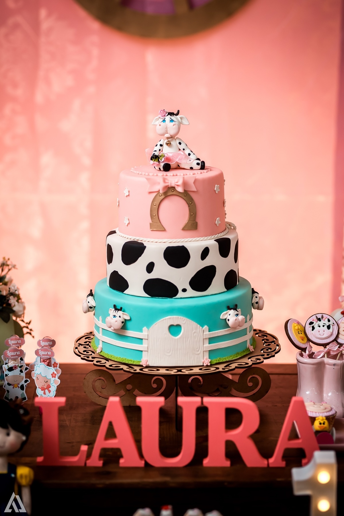 Aniversário Infantil Fazendinha Alex Jardim Fotografia Fotógrafo Resende Itatiaia Penedo Porto Real Quatis Barra Mansa Volta Redonda 