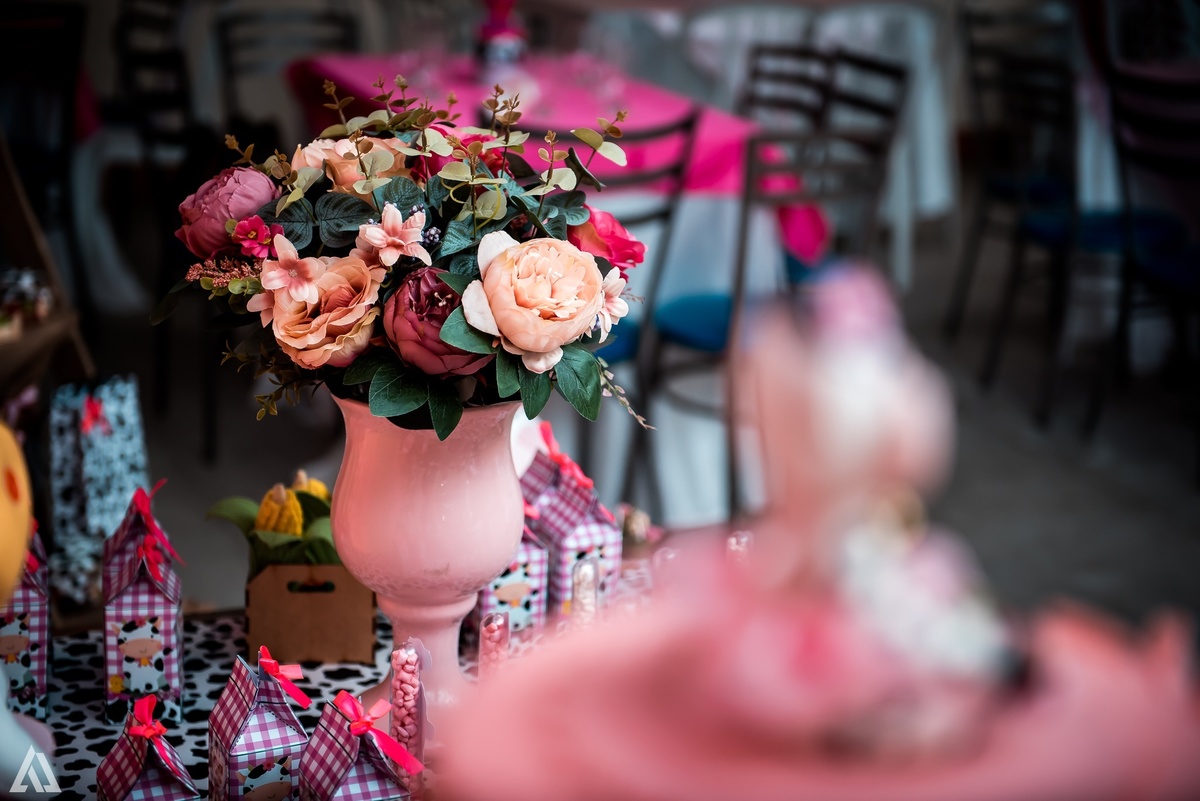 Aniversário Infantil Fazendinha Alex Jardim Fotografia Fotógrafo Resende Itatiaia Penedo Porto Real Quatis Barra Mansa Volta Redonda 