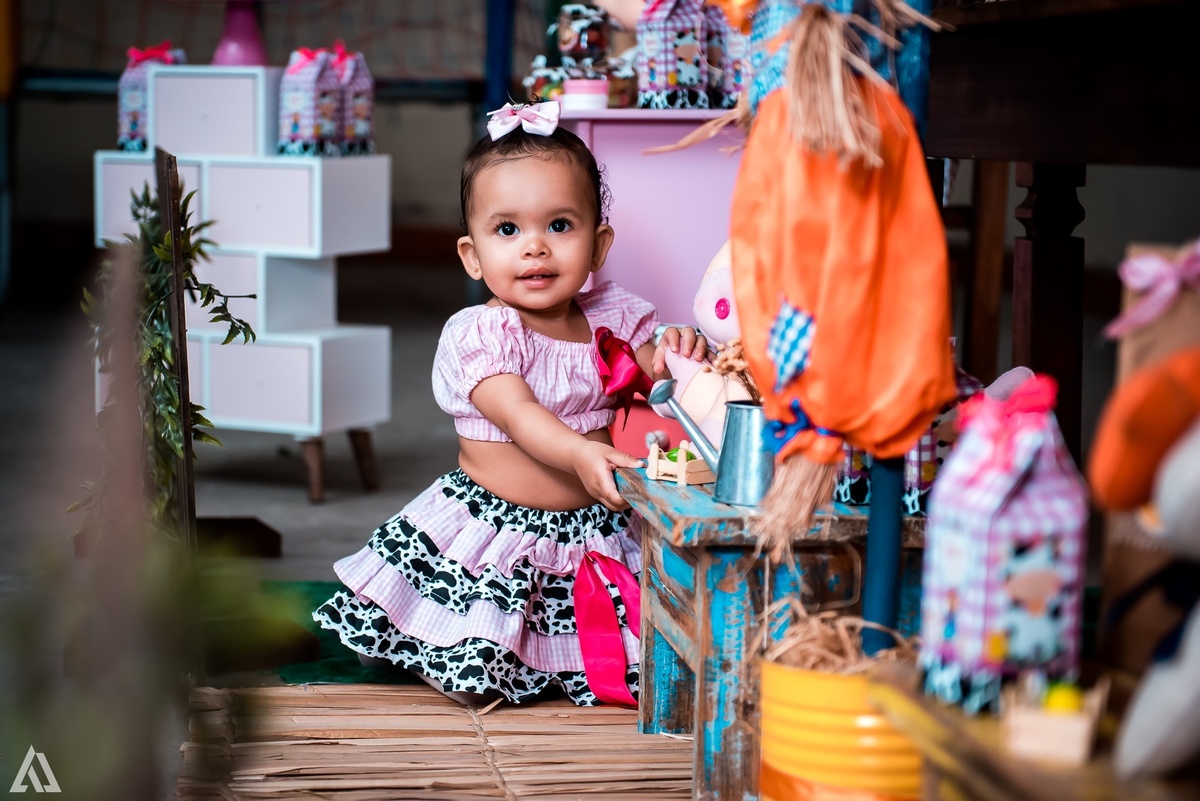 Aniversário Infantil Fazendinha Alex Jardim Fotografia Fotógrafo Resende Itatiaia Penedo Porto Real Quatis Barra Mansa Volta Redonda 