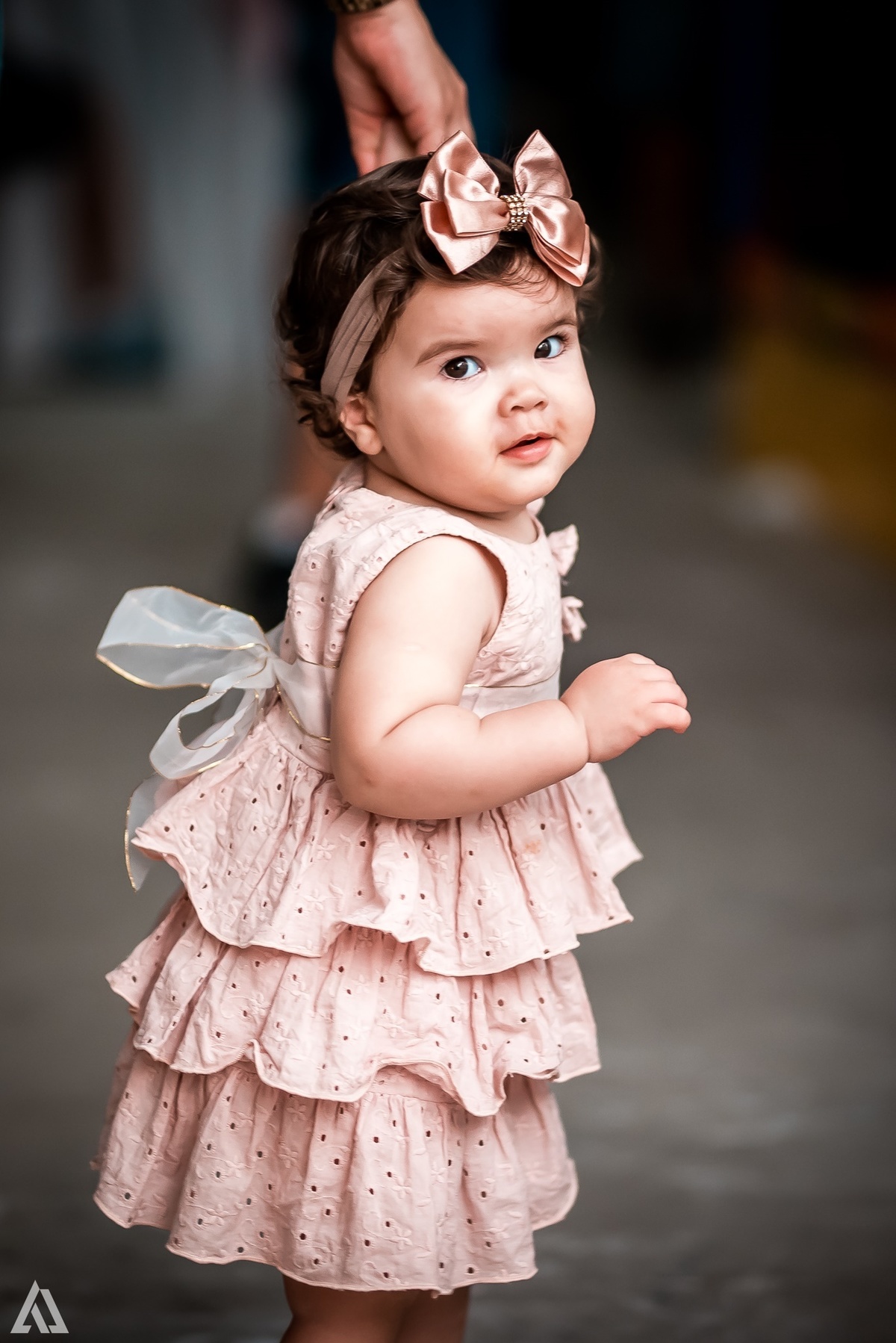 Aniversário Infantil Fazendinha Alex Jardim Fotografia Fotógrafo Resende Itatiaia Penedo Porto Real Quatis Barra Mansa Volta Redonda 