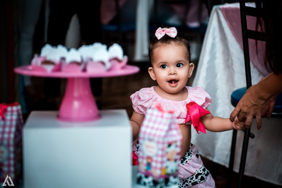 Aniversário Infantil Fazendinha Alex Jardim Fotografia Fotógrafo Resende Itatiaia Penedo Porto Real Quatis Barra Mansa Volta Redonda 