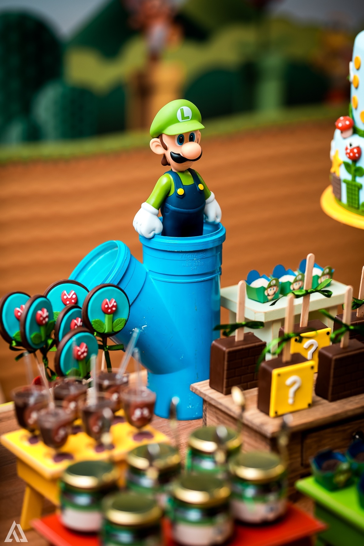 Aniversário Infantil Super Mario Bros Alex Jardim Fotografia Fotógrafo Resende Itatiaia Penedo Porto Real Quatis Barra Mansa Volta Redonda