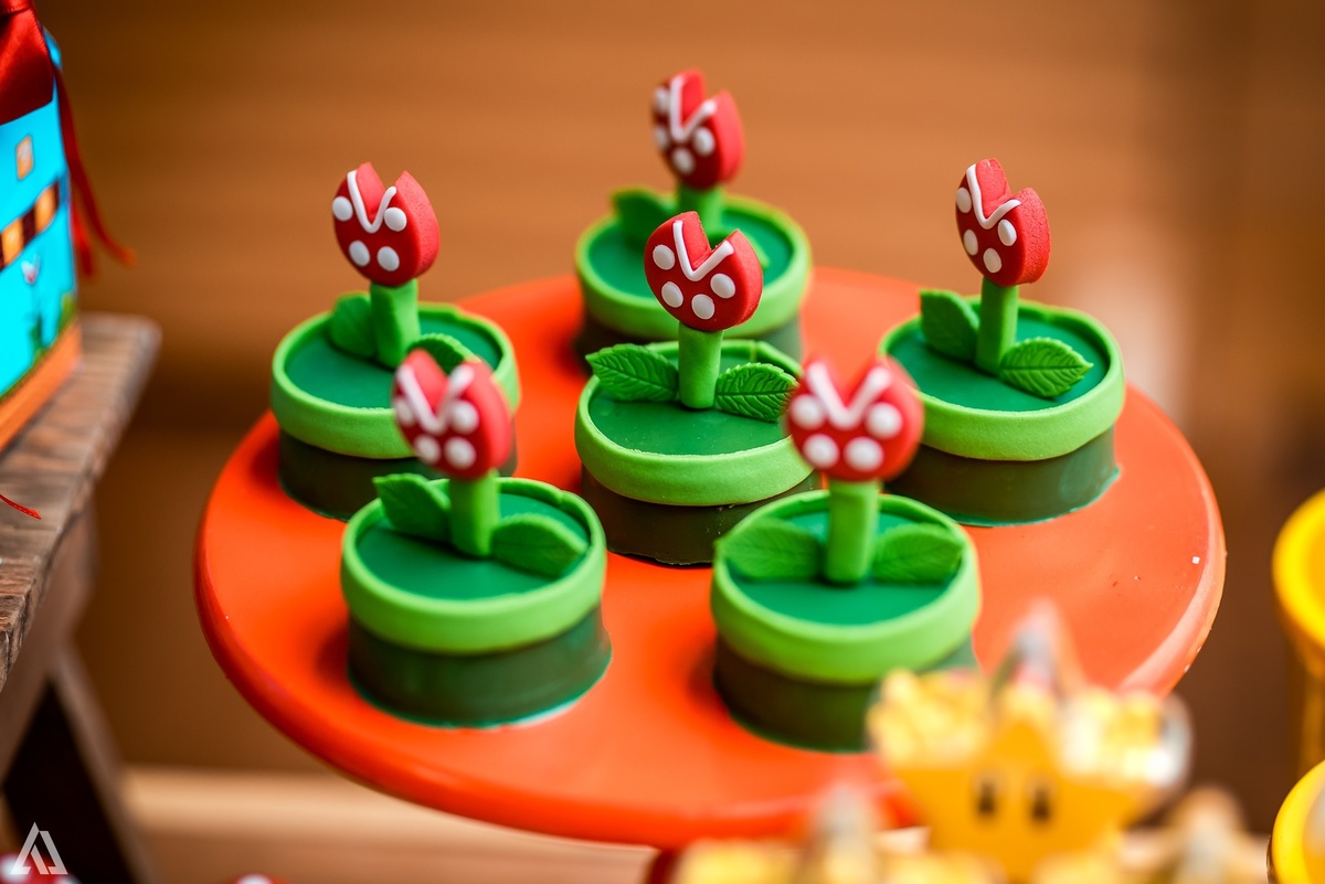 Aniversário Infantil Super Mario Bros Alex Jardim Fotografia Fotógrafo Resende Itatiaia Penedo Porto Real Quatis Barra Mansa Volta Redonda