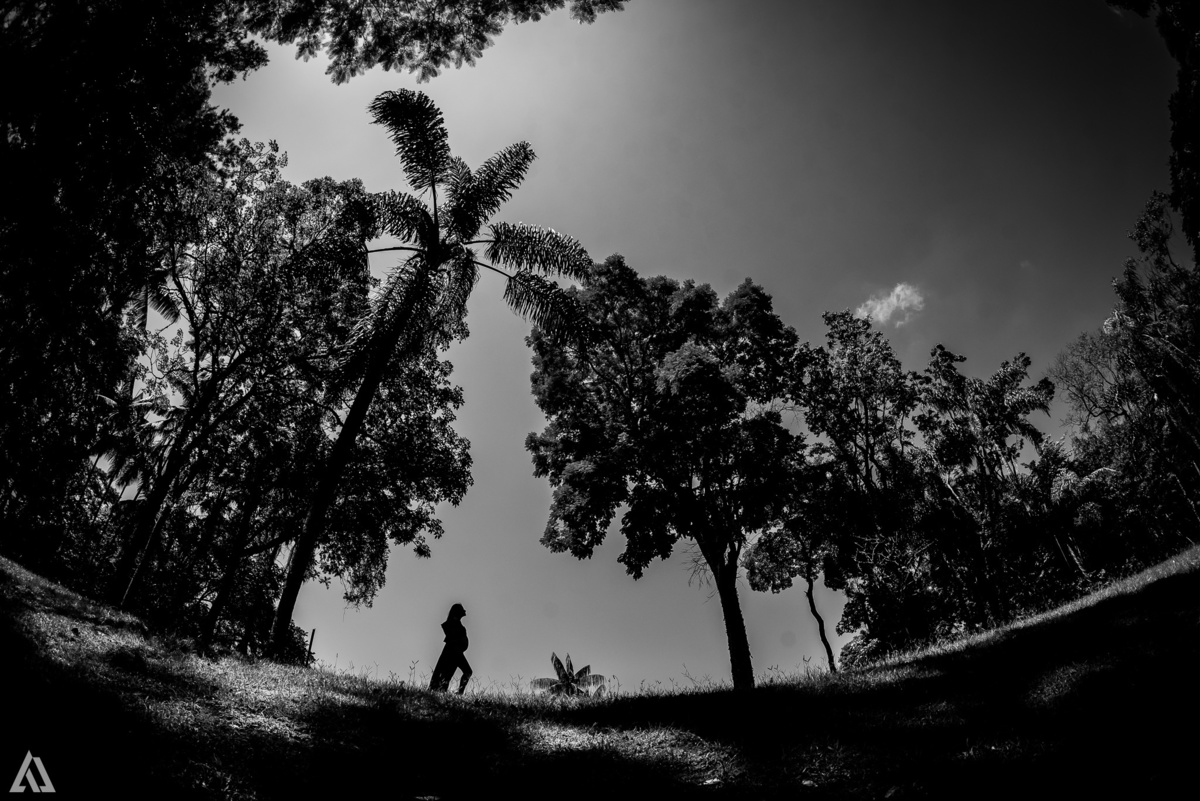 Ensaio Book Gestante Lifestyle Alex Jardim Fotografia Fotógrafo Resende Itatiaia Penedo Porto Real Quatis Barra Mansa Volta Redonda Serrinha do Alambari Parque Nacional do Itatiaia