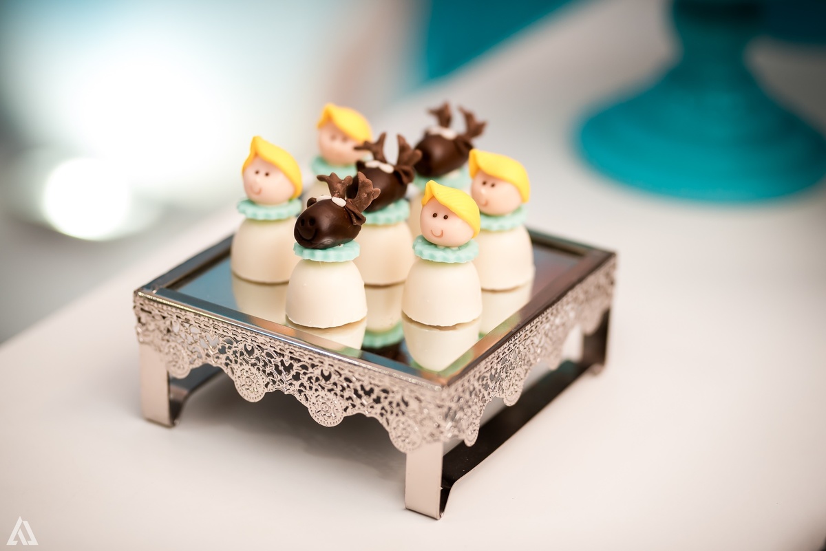 Aniversário Infantil Frozen Alex Jardim Fotografia Fotógrafo Resende Itatiaia Penedo Porto Real Quatis Barra Mansa Volta Redonda Buffet Pintou Alegria