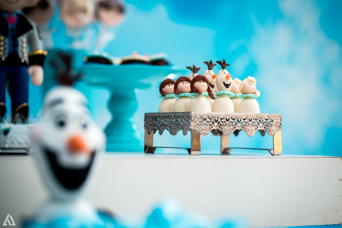 Aniversário Infantil Frozen Alex Jardim Fotografia Fotógrafo Resende Itatiaia Penedo Porto Real Quatis Barra Mansa Volta Redonda Buffet Pintou Alegria