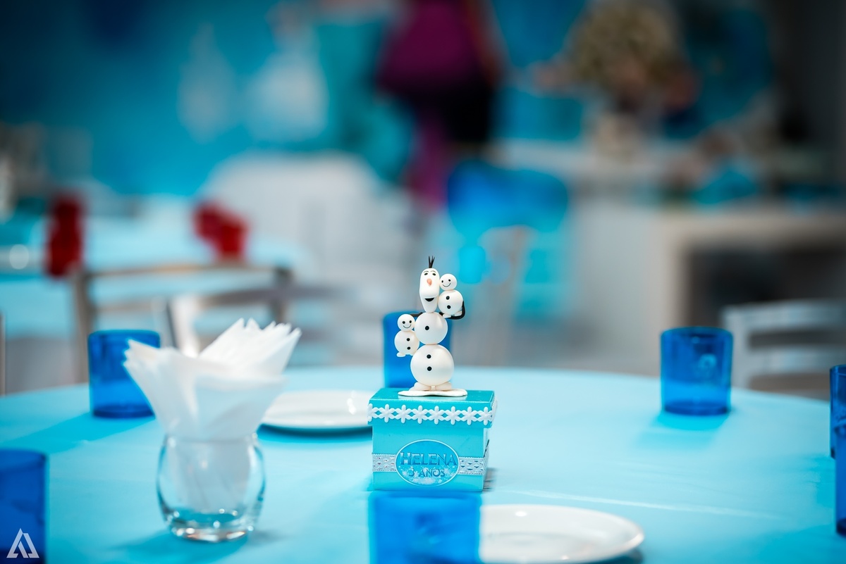 Aniversário Infantil Frozen Alex Jardim Fotografia Fotógrafo Resende Itatiaia Penedo Porto Real Quatis Barra Mansa Volta Redonda Buffet Pintou Alegria