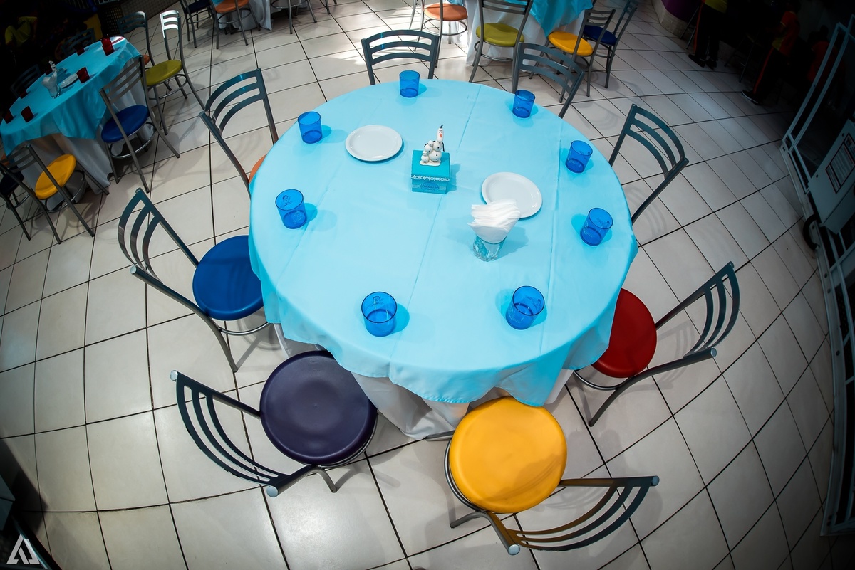 Aniversário Infantil Frozen Alex Jardim Fotografia Fotógrafo Resende Itatiaia Penedo Porto Real Quatis Barra Mansa Volta Redonda Buffet Pintou Alegria