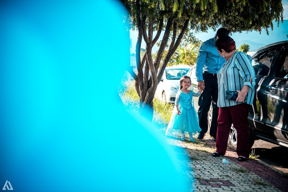 Aniversário Infantil Frozen Alex Jardim Fotografia Fotógrafo Resende Itatiaia Penedo Porto Real Quatis Barra Mansa Volta Redonda Buffet Pintou Alegria