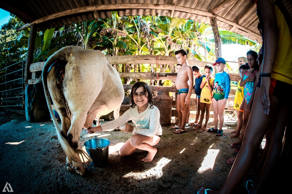 Colônia de Férrias Alex Jardim Fotografia Fotógrafo Resende Itatiaia Penedo Porto Real Quatis Barra Mansa Volta Redonda Vargem Grande Sitio das Palmeiras
