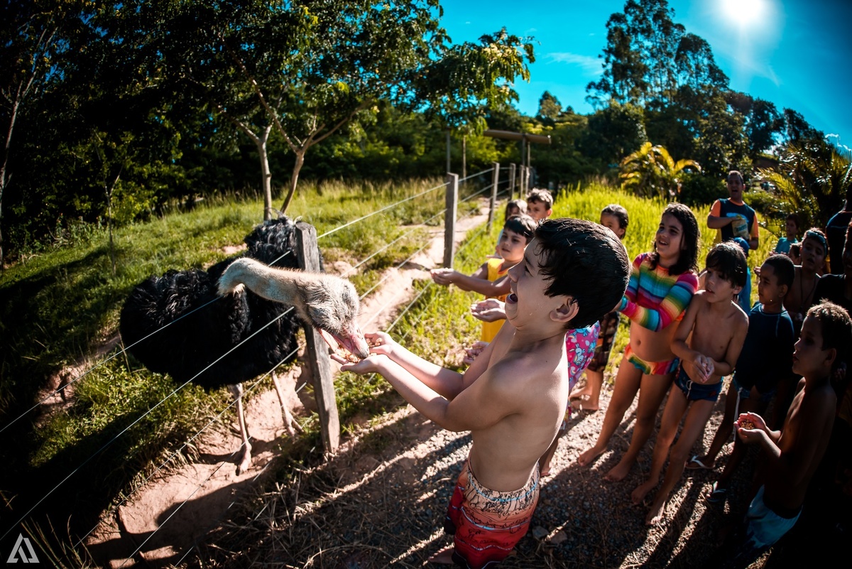 Colônia de Férrias Alex Jardim Fotografia Fotógrafo Resende Itatiaia Penedo Porto Real Quatis Barra Mansa Volta Redonda Vargem Grande Sitio das Palmeiras
