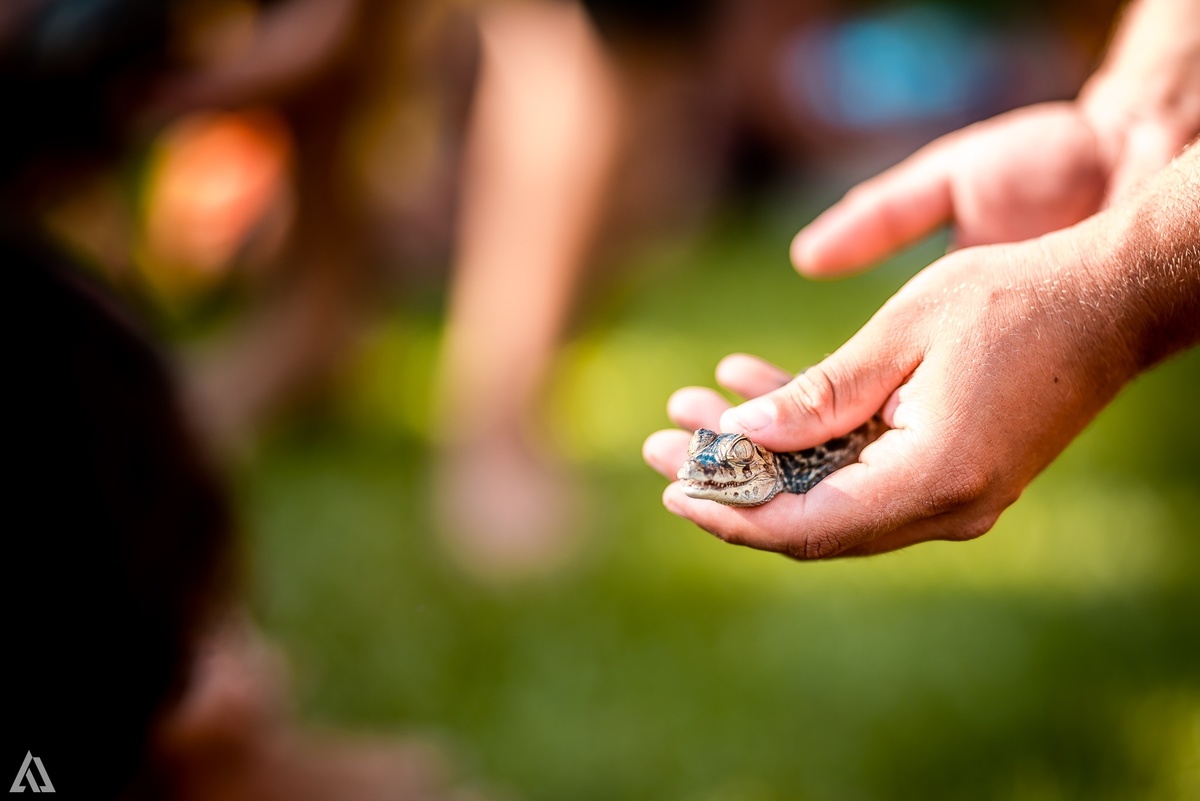 Colônia de Férrias Alex Jardim Fotografia Fotógrafo Resende Itatiaia Penedo Porto Real Quatis Barra Mansa Volta Redonda Vargem Grande Sitio das Palmeiras