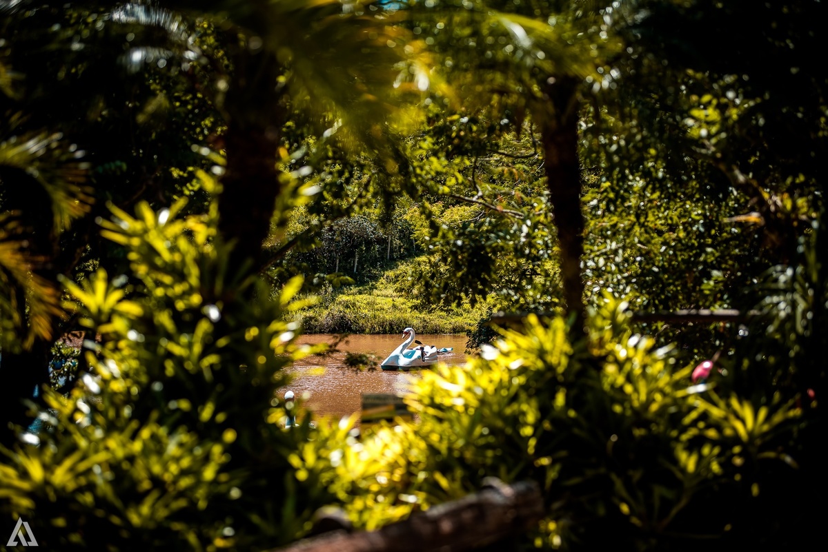 Colônia de Férrias Alex Jardim Fotografia Fotógrafo Resende Itatiaia Penedo Porto Real Quatis Barra Mansa Volta Redonda Vargem Grande Sitio das Palmeiras