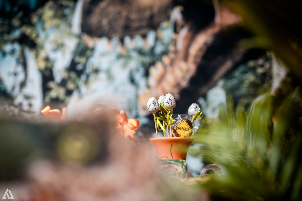 Aniversário Infantil Dinossauro Jurassic World Alex Jardim Fotografia Fotógrafo Resende Itatiaia Penedo Porto Real Quatis Barra Mansa Volta Redonda