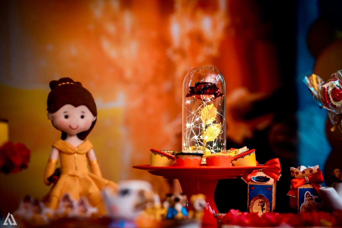 Aniversário Infantil A Bela e a Fera Alex Jardim Fotografia Fotógrafo Resende Itatiaia Penedo Porto Real Quatis Barra Mansa Volta Redonda