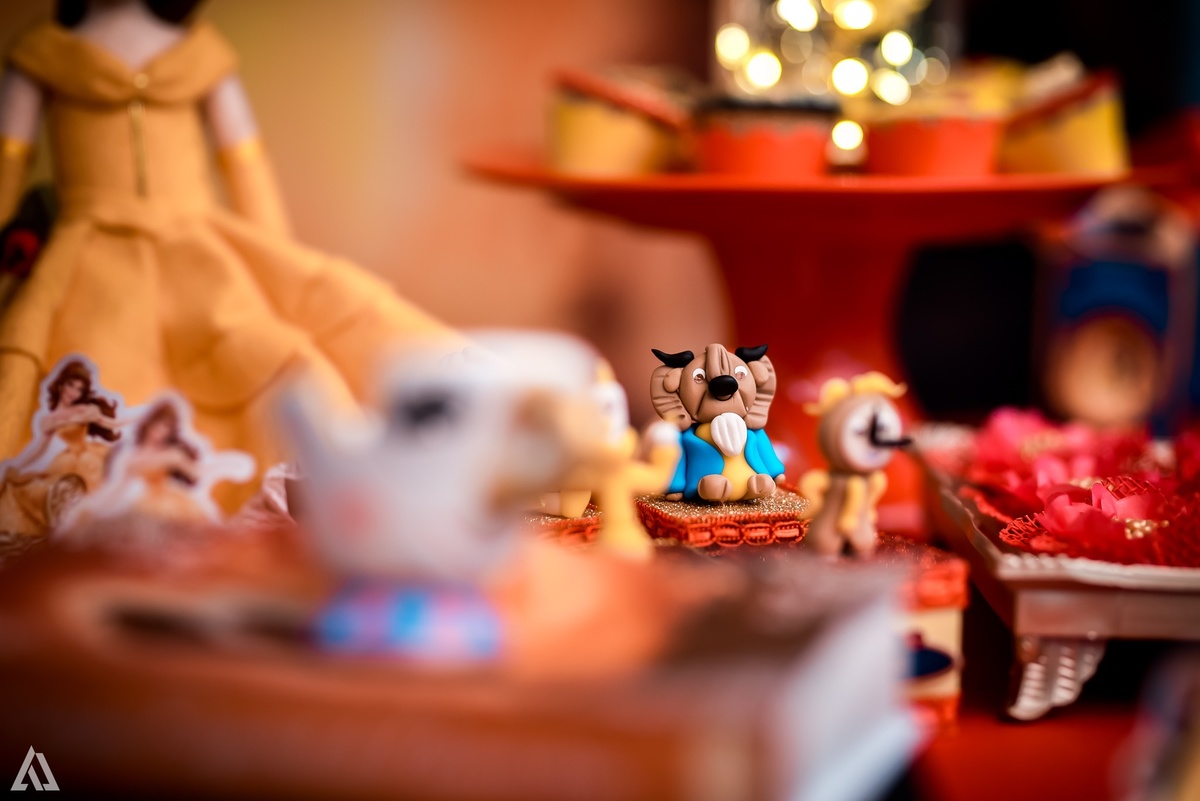 Aniversário Infantil A Bela e a Fera Alex Jardim Fotografia Fotógrafo Resende Itatiaia Penedo Porto Real Quatis Barra Mansa Volta Redonda