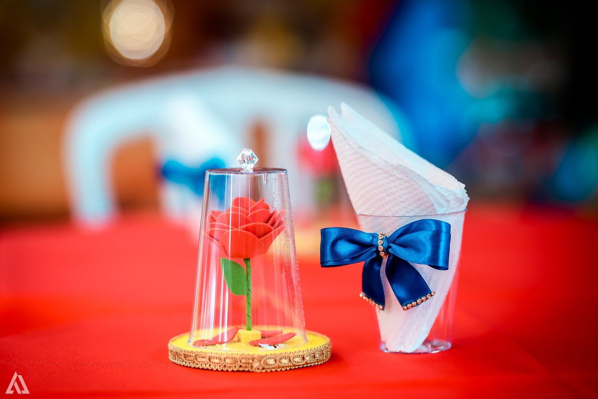 Aniversário Infantil A Bela e a Fera Alex Jardim Fotografia Fotógrafo Resende Itatiaia Penedo Porto Real Quatis Barra Mansa Volta Redonda