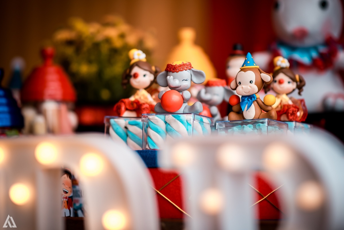 Aniversário Infantil Tema Circo Alex Jardim Fotografia Fotógrafo Resende Itatiaia Penedo Porto Real Quatis Barra Mansa Volta Redonda Espaço Garden Resende