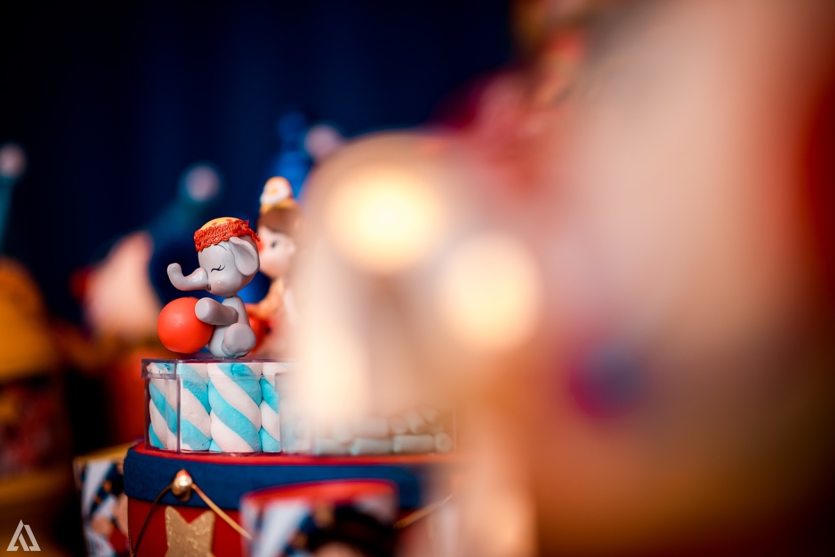 Aniversário Infantil Tema Circo Alex Jardim Fotografia Fotógrafo Resende Itatiaia Penedo Porto Real Quatis Barra Mansa Volta Redonda Espaço Garden Resende