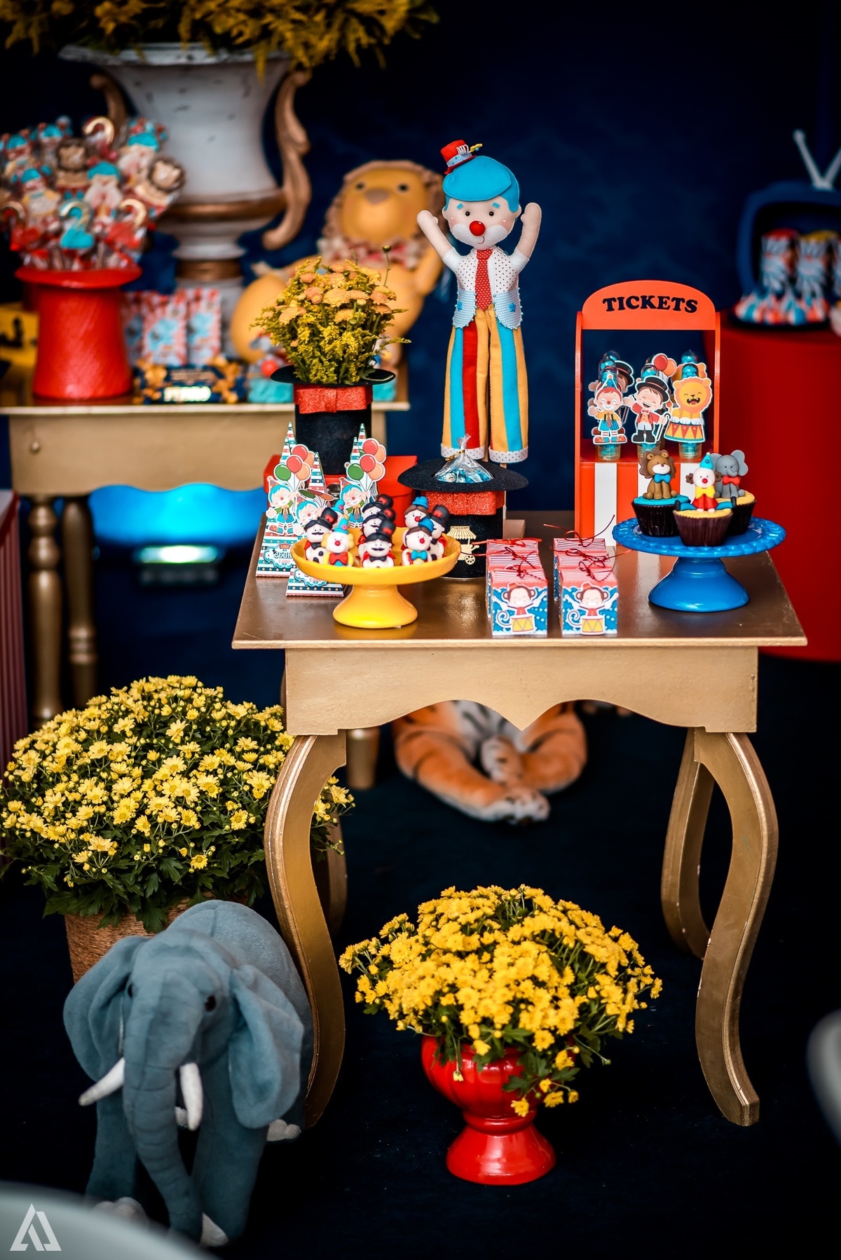 Aniversário Infantil Tema Circo Alex Jardim Fotografia Fotógrafo Resende Itatiaia Penedo Porto Real Quatis Barra Mansa Volta Redonda Espaço Garden Resende