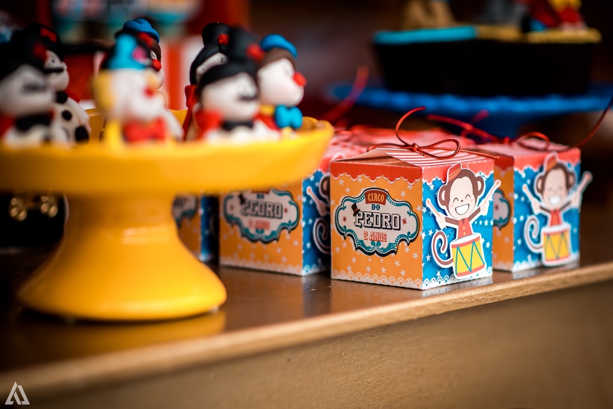 Aniversário Infantil Tema Circo Alex Jardim Fotografia Fotógrafo Resende Itatiaia Penedo Porto Real Quatis Barra Mansa Volta Redonda Espaço Garden Resende