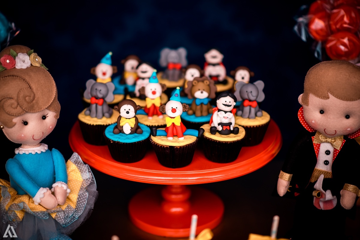 Aniversário Infantil Tema Circo Alex Jardim Fotografia Fotógrafo Resende Itatiaia Penedo Porto Real Quatis Barra Mansa Volta Redonda Espaço Garden Resende