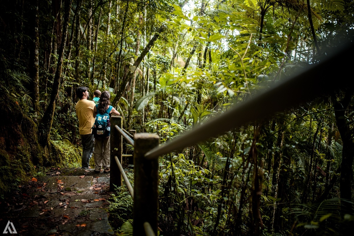 Ensaio Book Documental Lifestyle Alex Jardim Fotografia Fotógrafo Resende Itatiaia Penedo Porto Real Quatis Barra Mansa Volta Redonda Serrinha do Alambari Parque Nacional do Itatiaia 