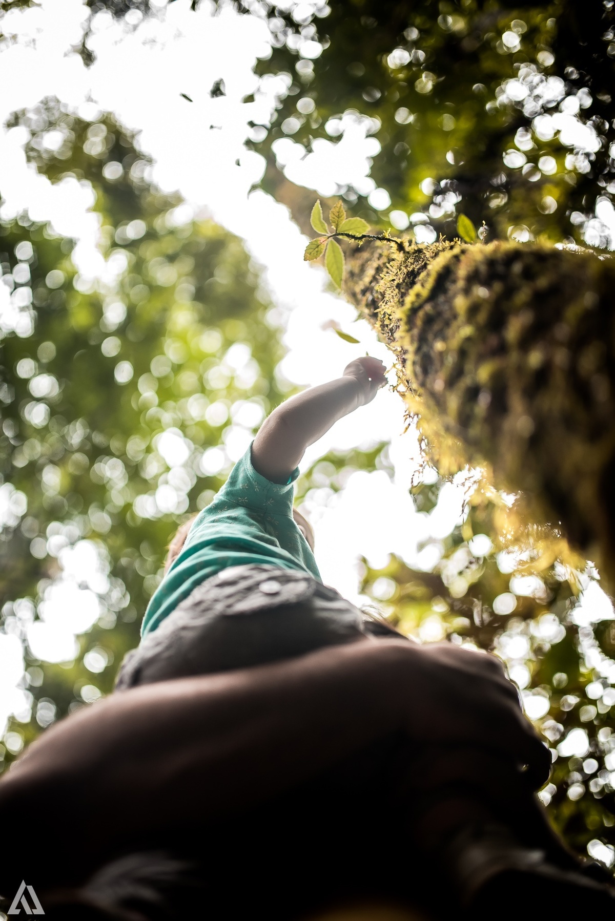 Ensaio Book Documental Lifestyle Alex Jardim Fotografia Fotógrafo Resende Itatiaia Penedo Porto Real Quatis Barra Mansa Volta Redonda Serrinha do Alambari Parque Nacional do Itatiaia 
