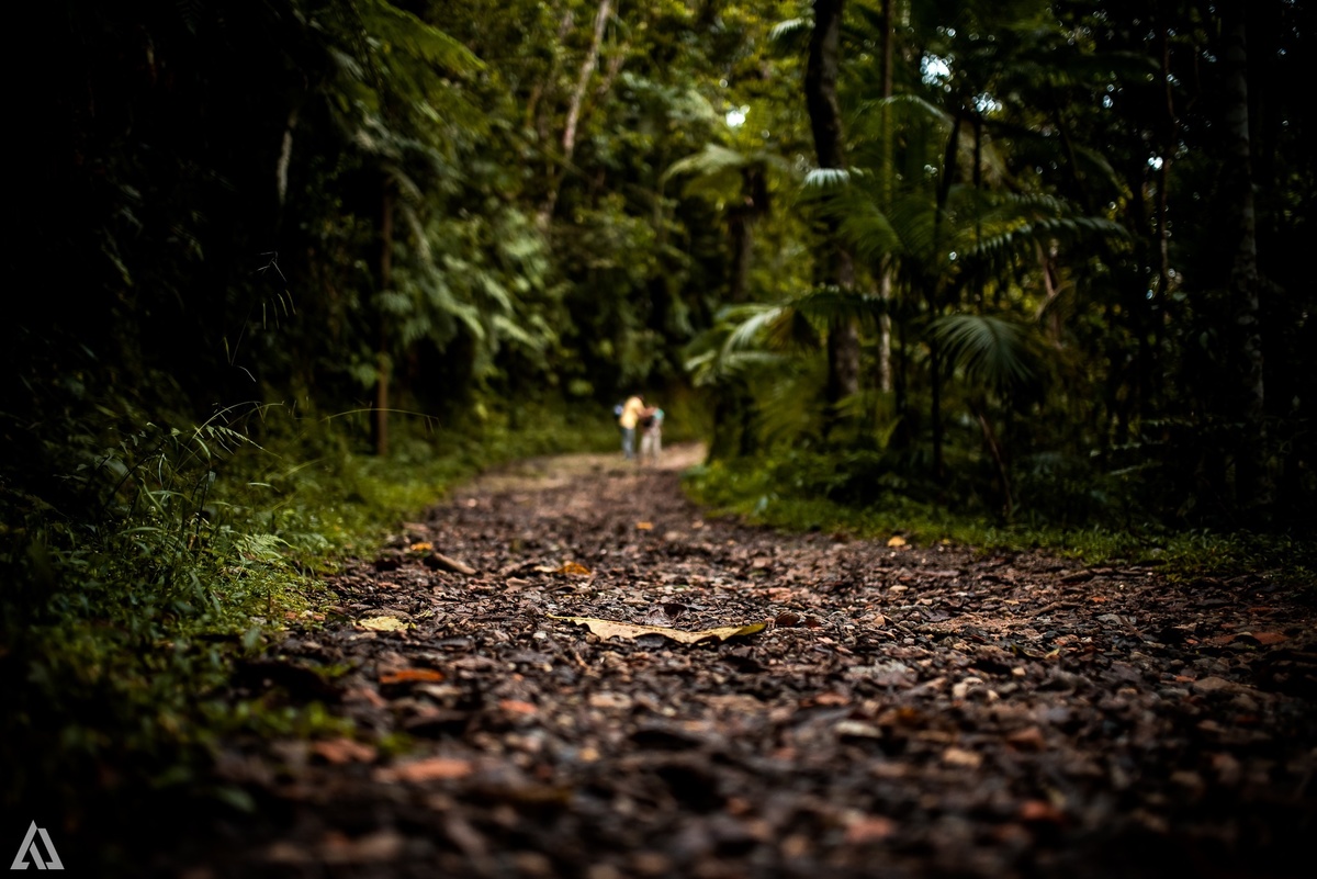 Ensaio Book Documental Lifestyle Alex Jardim Fotografia Fotógrafo Resende Itatiaia Penedo Porto Real Quatis Barra Mansa Volta Redonda Serrinha do Alambari Parque Nacional do Itatiaia 