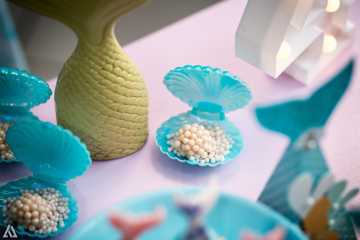 Aniversário Infantil Pequena Sereia Alex Jardim Fotografia Fotógrafo Resende Itatiaia Penedo Porto Real Quatis Barra Mansa Volta Redonda Buffet Pintou Alegria