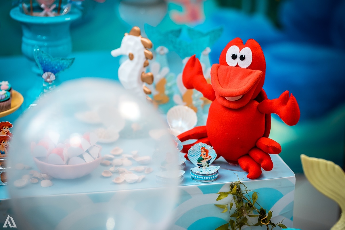 Aniversário Infantil Pequena Sereia Alex Jardim Fotografia Fotógrafo Resende Itatiaia Penedo Porto Real Quatis Barra Mansa Volta Redonda Buffet Pintou Alegria