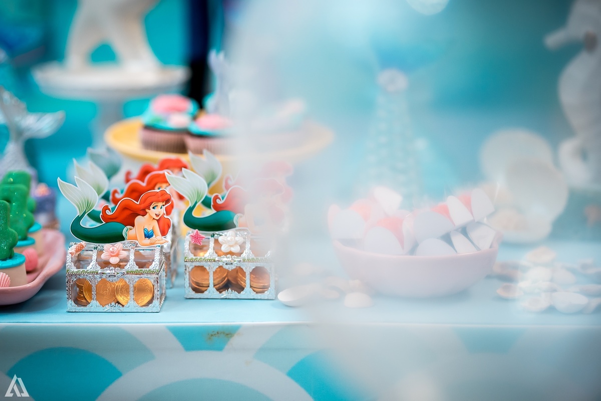 Aniversário Infantil Pequena Sereia Alex Jardim Fotografia Fotógrafo Resende Itatiaia Penedo Porto Real Quatis Barra Mansa Volta Redonda Buffet Pintou Alegria