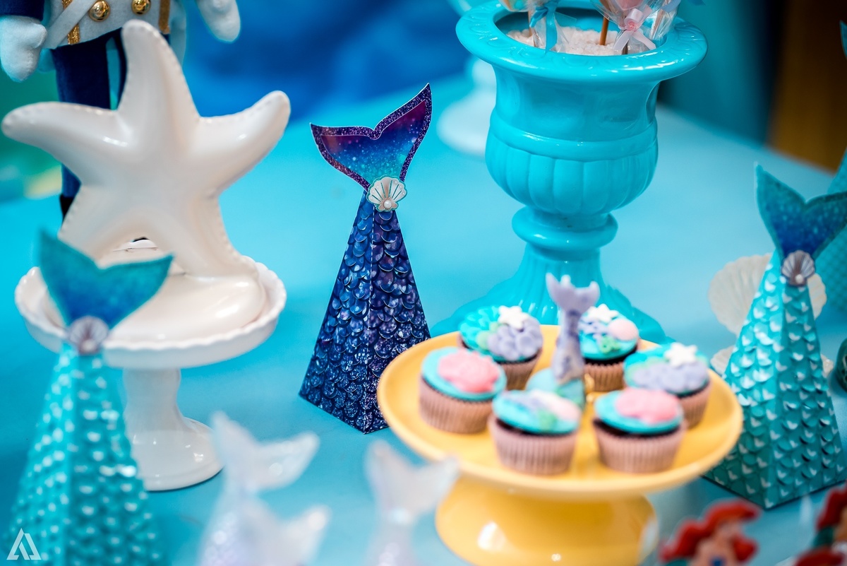 Aniversário Infantil Pequena Sereia Alex Jardim Fotografia Fotógrafo Resende Itatiaia Penedo Porto Real Quatis Barra Mansa Volta Redonda Buffet Pintou Alegria