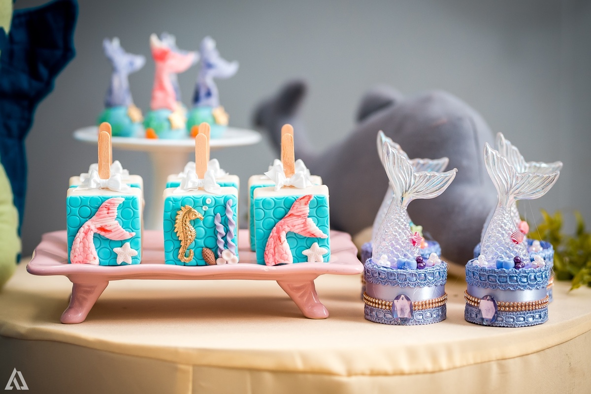 Aniversário Infantil Pequena Sereia Alex Jardim Fotografia Fotógrafo Resende Itatiaia Penedo Porto Real Quatis Barra Mansa Volta Redonda Buffet Pintou Alegria