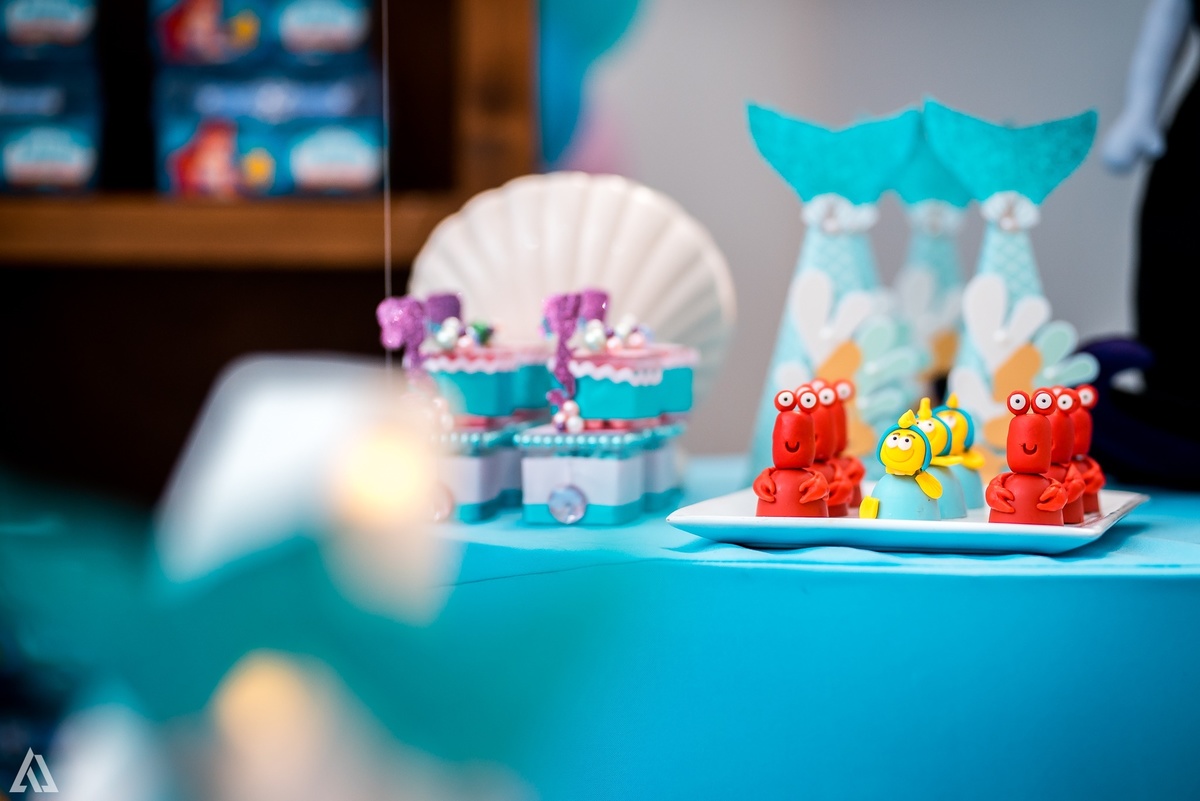 Aniversário Infantil Pequena Sereia Alex Jardim Fotografia Fotógrafo Resende Itatiaia Penedo Porto Real Quatis Barra Mansa Volta Redonda Buffet Pintou Alegria