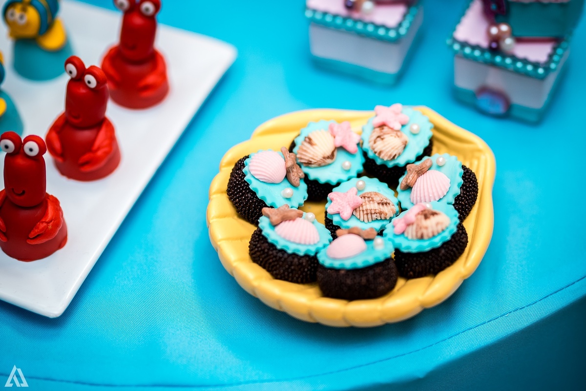 Aniversário Infantil Pequena Sereia Alex Jardim Fotografia Fotógrafo Resende Itatiaia Penedo Porto Real Quatis Barra Mansa Volta Redonda Buffet Pintou Alegria