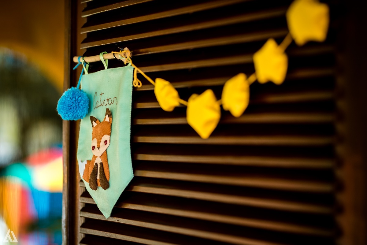 Aniversário Infantil O Pequeno Príncipe Alex Jardim Fotografia Fotógrafo Resende Itatiaia Penedo Porto Real Quatis Barra Mansa Volta Redonda 