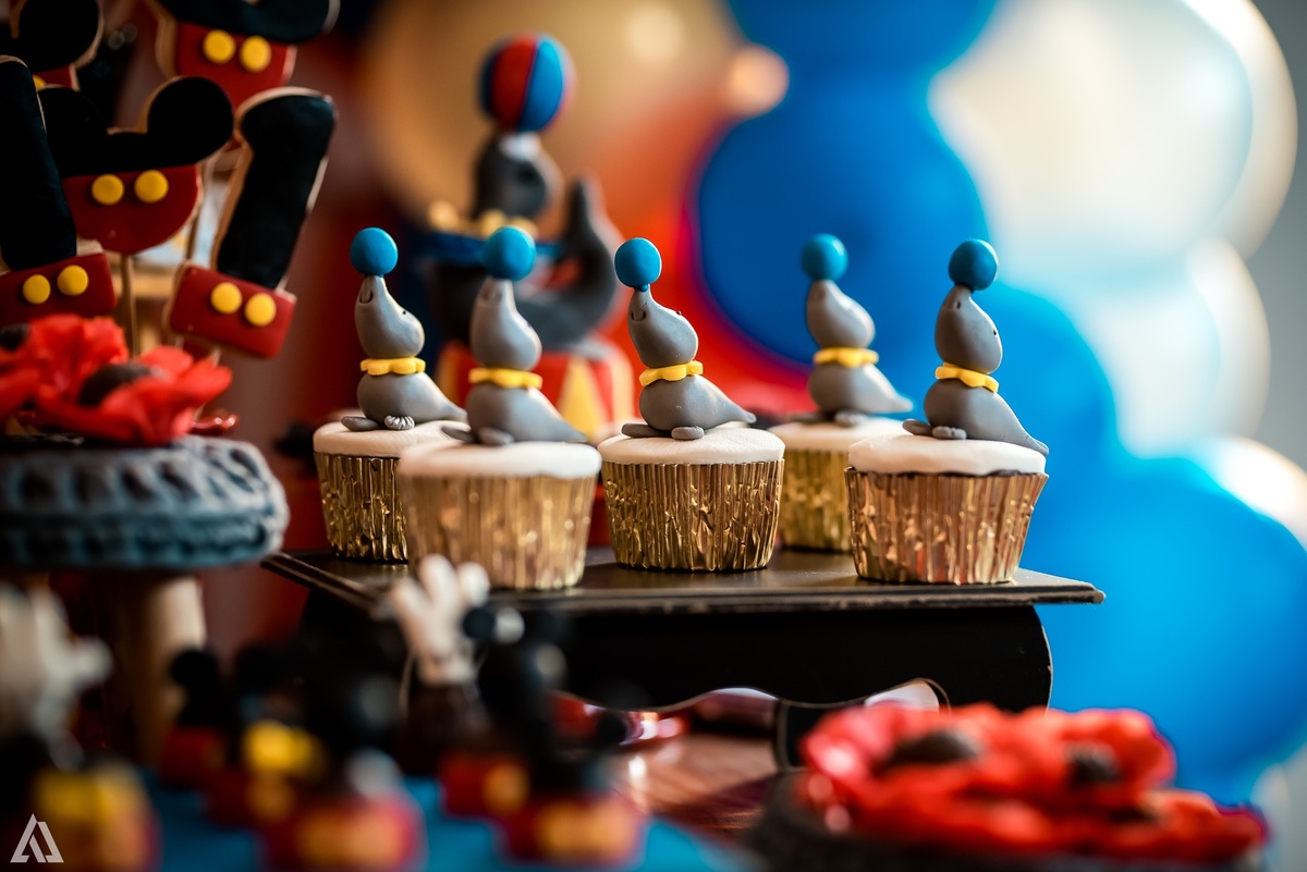 Aniversário Infantil Circo do Mickey Alex Jardim Fotografia Fotógrafo Resende Itatiaia Penedo Porto Real Quatis Barra Mansa Volta Redonda Meu Pé de Jambo