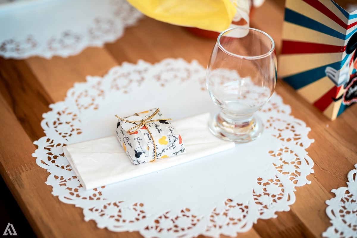 Aniversário Infantil Circo do Mickey Alex Jardim Fotografia Fotógrafo Resende Itatiaia Penedo Porto Real Quatis Barra Mansa Volta Redonda Meu Pé de Jambo